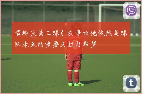 黄蜂交易三球引发争议他依然是球队未来的重要支柱与希望